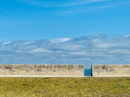 The Rape of a CountryÂ