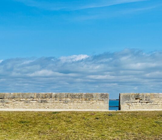 The Rape of a CountryÂ