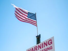 The Government of Mexico and Its Cartel